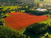 Prodej zemědělského pozemku 29.218 m2 - Nová Paka - Foto 17