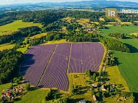 Prodej zemědělského pozemku 29.218 m2 - Nová Paka - Foto 18