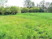 SVINĚTICE - dům s loukou - Svinětice 5 lou.JPG