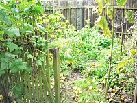 VAHLOVICE - venkovský domek - Vahlovice 17 za.JPG