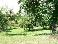 DOŽICE - chalupa se zahradou - Dožice 80 se za.JPG