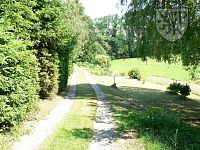 KOCELOVICE - chata u rybníka - Kocelovice č.e. 3 ces.JPG