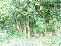 BEZDĚDOVICE - nedokončený RD - Bezděd. roz. RD břeh.JPG