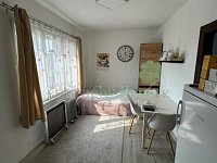 Pronajmu rodinný dům na krásném místě se zahradou vlastní vodou a bazénem - IMG_1200.jpg