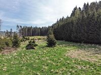 Trvalý travní porost, 4179 m2, Poděšín, okr. Žďár nad Sázavou - DJI_0943.jpg