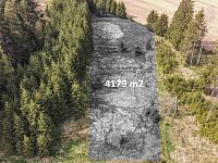 Trvalý travní porost, 4179 m2, Poděšín, okr. Žďár nad Sázavou - DJI_0952_1.jpg