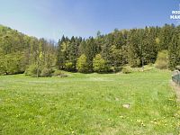 Trvalý travní porost, 3664 m2, Vír, okr. Žďár nad Sázavou - IMG_8844.jpg