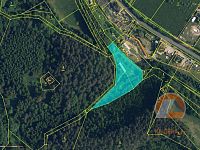 Roubená chalupa v lese - mapa.jpg