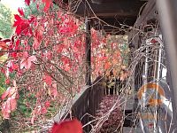 Roubená chalupa v lese - pavlač-1-1.jpg