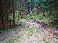 Roubená chalupa v lese - přístup-1.jpg