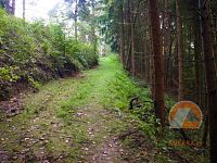 Roubená chalupa v lese - přístup-2.jpg