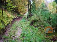 Roubená chalupa v lese - přístup.jpg