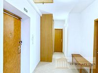 Byt po rekonstrukci 4 + 1, cihla, 107 m2, metro, centrum, Praha 2 - Vinohrady, ul. Koubkova. - IMG_20260413_145010.jpg