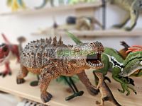 Prodej luxusního domu v Suchém Vrbném České Budějovice – 400 m², zahrada a bazén, pozemek 1734 m² - Ochočení mazlíčci