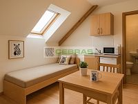 Pronájem menší garsoniéry v podkroví se samostatným vchodem, klidná lokalita Suché Vrbné