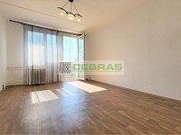 Byt 2+kk se šatnou a balkonem, na klidném místě, kousek od centra města, řeky Vltavy a cyklostezky! - Obývací pokoj