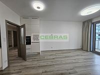 Dlouhá louka Na Zlaté stoce: Byt 3+kk s balkonem a parkovacím stáním - Pokoj s kuchyňským koutem