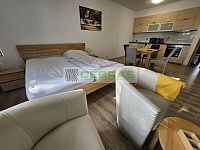 Rekreační apartmán 1+kk + terasa a parkování Lipno, rekreace a investice - 20260310_145453.jpg