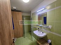 Rekreační apartmán 2+kk + terasa a parkování Lipno, rekreace a investice - Koupelna