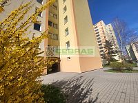 Byt 2+ kk s komorou a sklepem o výměře 39 m2, v samostatně stojícím panelovém domě ČB 2.