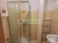 Pronájem prostorného 1+kk (cca 50 m2) nedaleko Lannovy třídy. Vhodné pro jednu nebo dvě osoby. - Koupelna se sprchovým koutem