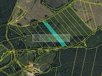 Investiční příležitost – trvalý travní porost 3 029 m² v CHKO Třeboňsko, k. ú. Břilice - Katastrální mapa