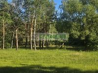 Investiční příležitost – trvalý travní porost 3 029 m² v CHKO Třeboňsko, k. ú. Břilice - Pozemek
