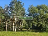 Investiční příležitost – trvalý travní porost 3 029 m² v CHKO Třeboňsko, k. ú. Břilice - Pozemek