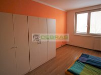 Pronájem bytu 2+1 v Jírovcovce - Foto 9