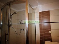Pronájem bytu 2+1 v Jírovcovce - Foto 13