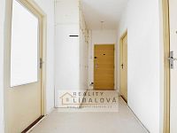 Prodej 3+1/L, DV, 80 m2, Ústí nad Labem, Dobětice, Brandtova - IMG_9731_hdr.jpg