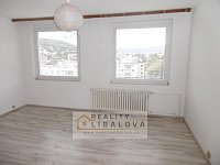 Pronájem 1+kk, OV, 32 m2, Ústí nad Labem, Bukov, Vinařská - P1000797.JPG