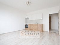 Pronájem 1+1, OV, 40 m2, Ústí nad Labem, Severní Terasa, Šrámkova - IMG_9408_hdr.jpg