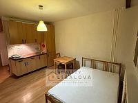 Pronájem 1+kk/L, OV, 25 m2, Ústí nad Labem - centrum, Hoření - IMG-20260203-WA0032.jpg