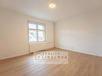 Pronájem 2+1 - přízemí, OV, 61m2, Ústí nad Labem - Klíše, Gočárova - byt2_prizemi_loznice.jpg