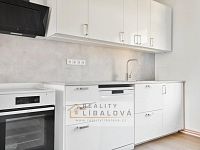 Pronájem 2+1 - přízemí, OV, 61m2, Ústí nad Labem - Klíše, Gočárova - IMG_0228_hdr.jpg