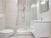 Pronájem 1+1, OV, 35 m2, Ústí nad Labem, Severní Terasa, Šípková - IMG_4912_hdr.jpg