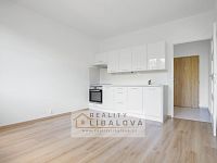 Pronájem 1+1, OV, 35 m2, Ústí nad Labem, Severní Terasa, Šípková