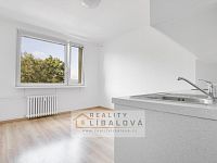 Pronájem 1+1, OV, 35 m2, Ústí nad Labem, Severní Terasa, Šípková - IMG_4980_hdr.jpg