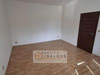 Pronájem 1+1, OV, 46 m2, Ústí nad Labem, Klíše, Palachova - 20240801_162800.jpg