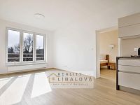 Pronájem 2+kk, OV, 56 m2, Kralupy nad Vltavou, Lobeček, Štefánikova - IMG_5871_hdr.jpg