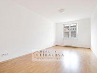 Pronájem 1+1, OV, 36 m2, Ústí nad Labem, Klíše, Masarykova - IMG_8836_hdr.jpg