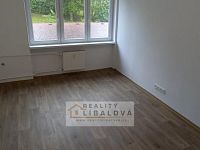 Pronájem 1+1, OV, 36 m2, Petrovice - 20220527_113629.jpg