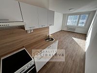 Pronájem 2+kk, DV, 40 m2, Teplice, Pražská - IMG-20240125-WA0005.jpg
