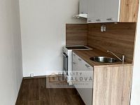 Pronájem 2+kk, DV, 40 m2, Teplice, Pražská