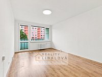 Pronájem 1+1, OV, 45 m2, Ústí nad Labem, Severní Terasa, Šípková - DSC04073.jpg