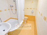 Pronájem 1+1, OV, 34 m2, Ústí nad Labem, Severní Terasa, Glennova - Koupelna.jpg