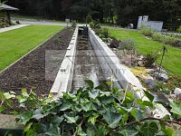 Rodinný dům na samotě s rybníkem a vlastním lesem za zády - DSCN2343.JPG