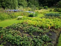 Zahrada, pozemek 750 m2 s chatou, OV, Jihlava - foto č.1