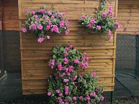 Zahrada, pozemek 750 m2 s chatou, OV, Jihlava - foto č. 20